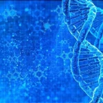 ارفع مستوى لعبتك Brun Game Crea وابتكر فكرة لوجبة صباحية لا تُنسى