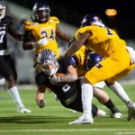 يعرض الحكومة الألمانية لخطر الانهيار